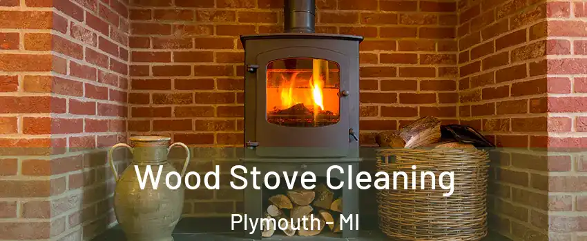  Wood Stove Cleaning Plymouth - MI